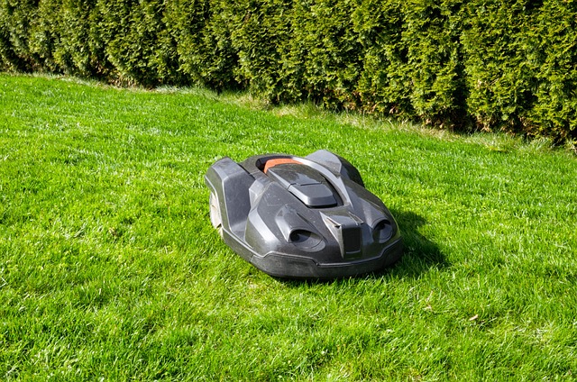 Lawn Care