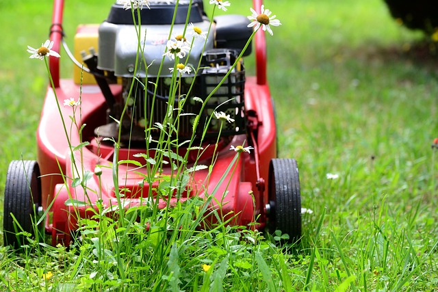 Lawn Care