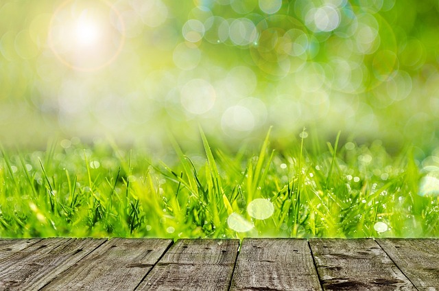 Lawn Care