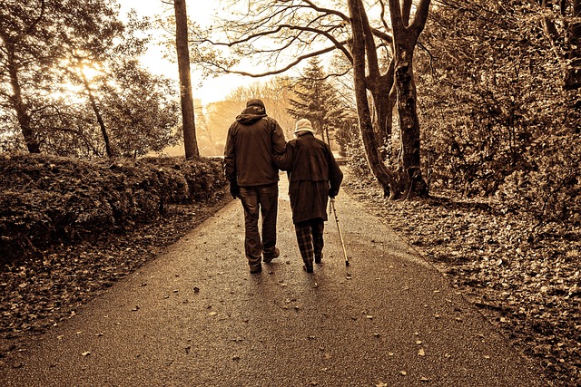 Maintaining a Comfortable Home: The Essence of Tailored Elderly Companion Services