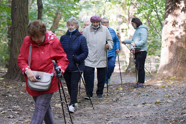 Elderly Companion Services: Nourishing Meals and Social Bonds