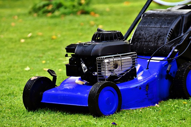 Optimizing Curb Appeal: A Guide to Residential Lawn Mowing Services for Homeowners