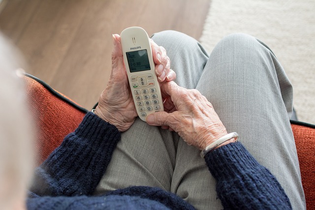 Comprehensive Guide to Elderly Companion Services for At-Home Care