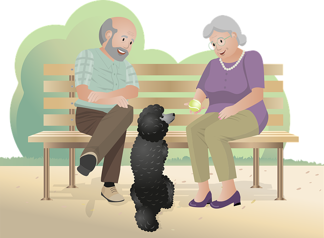 Innovative Elderly Care: Enhancing Companion Services with In-Home Health Monitoring