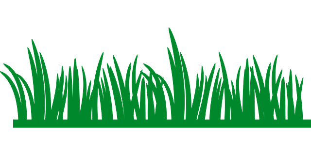 Optimizing Outdoor Spaces: The Essence of Tree Trimming and Pruning Services