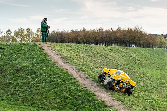 Mastering Outdoor Space Design: Expert Tips on Lawn Care & Landscaping