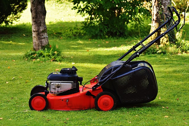 Enhance Curb Appeal with Pro Lawn Mowing: Eco-Friendly & Customized Services