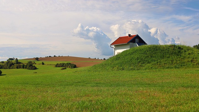 Optimizing Lawn Health: Fertilization and Weed Control Strategies for Landscape Vitality