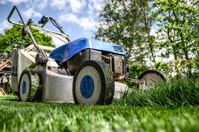 Optimal Tree Maintenance: The Role of Trimming and Pruning in Lawn Care and Landscaping