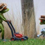 lawn-care-640x480-92741658.jpeg