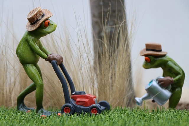 lawn-care-640x480-92741658.jpeg