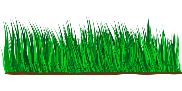 Optimizing Lawn Health: A Guide to Fertilization and Weed Control