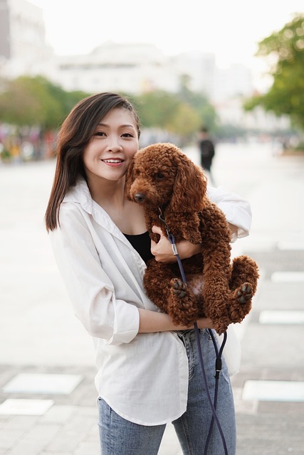 Secure Pet Care: Vetting Trustworthy Pet Sitters and Expert Dog Walkers