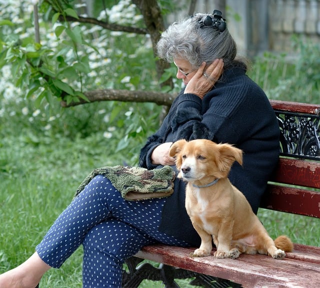 Pet Sitting & Dog Walking Reliability: A Guide to Choosing Trustworthy Care for Your Canine