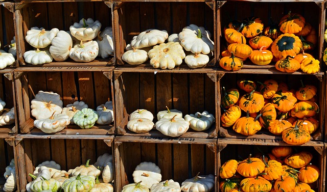 Eco-Friendly Yard Care: Mastering Composting and Recycling for Sustainable Landscapes