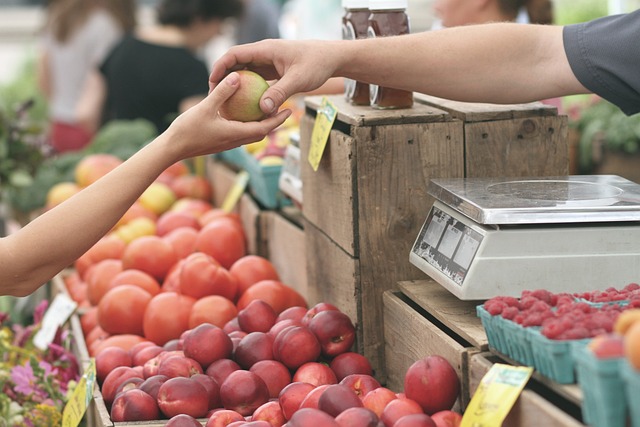 Eco-Savvy Yard Waste Solutions: From Home Composting to Community Recycling Programs