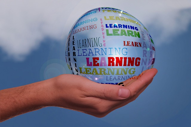 Local Tutoring Mastery: Enhancing Foreign Language Skills through Customized Learning and Cultural Immersion