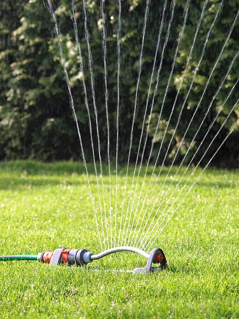 Optimizing Lawn Vitality: Fertilization & Weed Control Strategies for Lush Turf