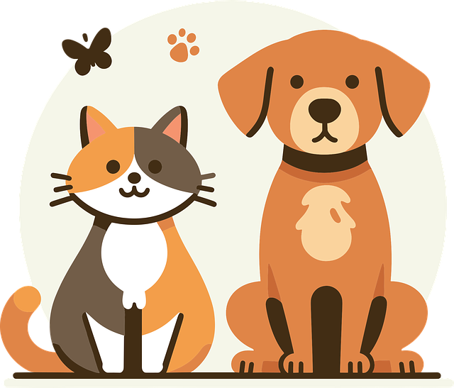 Prioritizing Pet Health and Home Peace: The Advantages of Professional Pet Sitting Services in New Braunfels