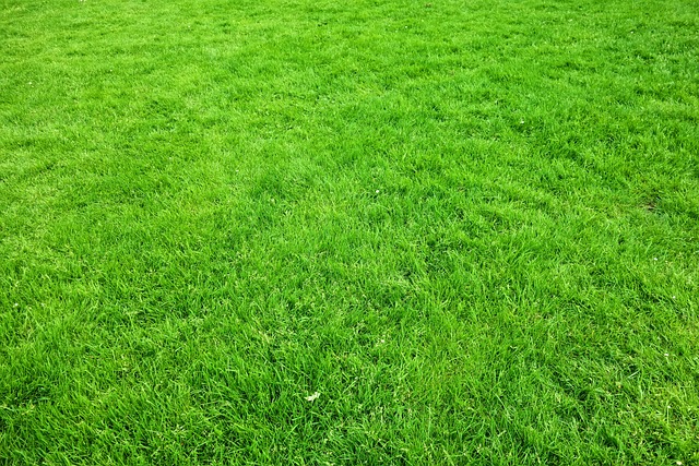 Optimizing Your Lawn: Fertilization Tips, Weed Control Strategies, and pH Adjustment for Healthy Grass