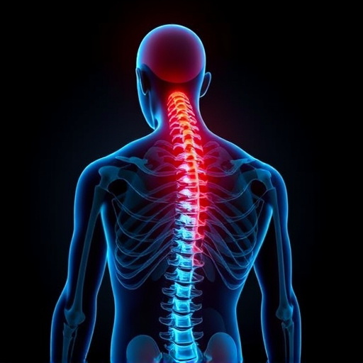 Proven Non-Invasive Pain Solutions: Trusted Chiropractic Care for Chronic Relief