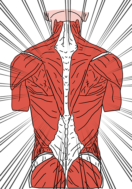 chiropracticchiropractorneck-painback-pa-640x480-17747786.png