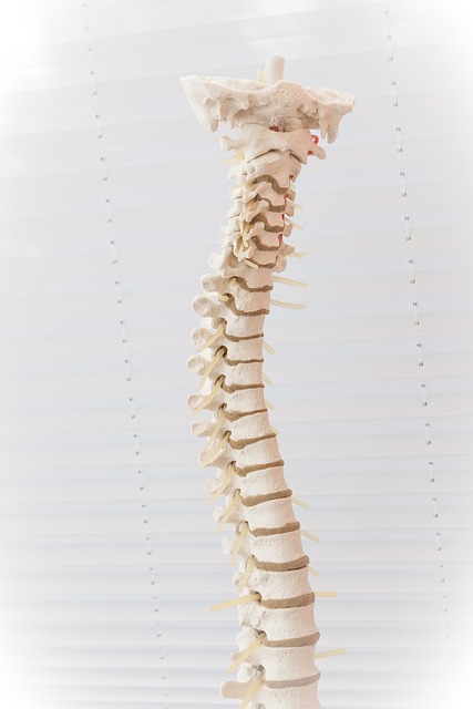 chiropractorchiropracticfrisco-txneck-pa-640x480-94086076.jpeg