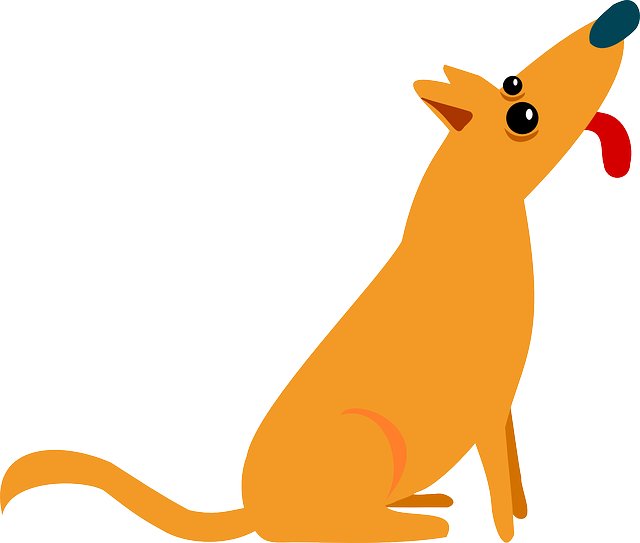 pet-sitting-new-braunfelspet-sitters-new-640x480-2625602.png