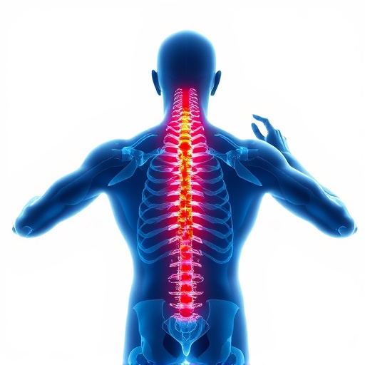 chiropractic-techniques-for-chronic-pain-640x480-24057538.jpeg