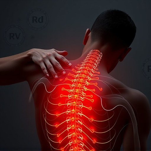 chiropractic-techniques-for-chronic-pain-640x480-57392633.jpeg