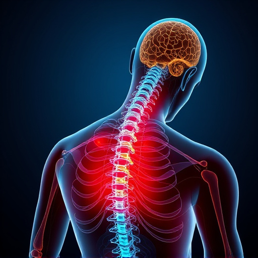 chiropractic-techniques-for-chronic-pain-640x480-77973128.jpeg