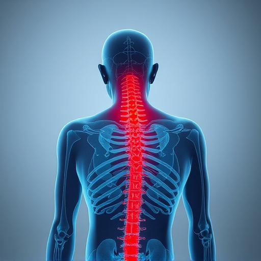 chiropractic-techniques-for-chronic-pain-640x480-96303900.jpeg