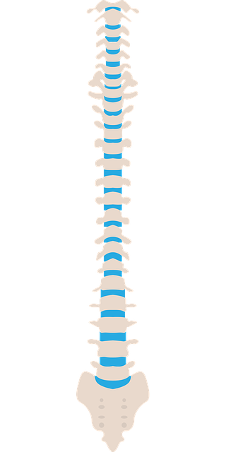 chiropractorchiropracticfrisco-txneck-pa-640x480-30331857.png