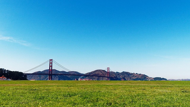 San Francisco’s Top-Rated, Affordable Movers: Seamless Relocation Experts