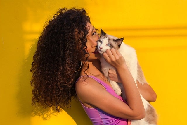 Cat Care Certification: Elevating Professional Cat Sitter Standards