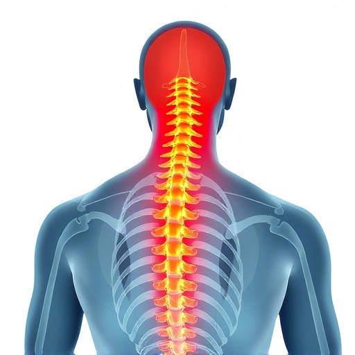 Trusted Frisco Chiropractors: Proven Holistic Pain Relief for Lasting Success