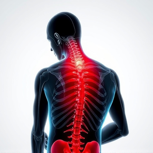Unleash Chronic Pain Relief with Trusted Chiropractic Techniques