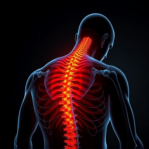 Proven & Trusted Holistic Chiropractic Pain Relief: Innovative Solutions for Optimal Well-being