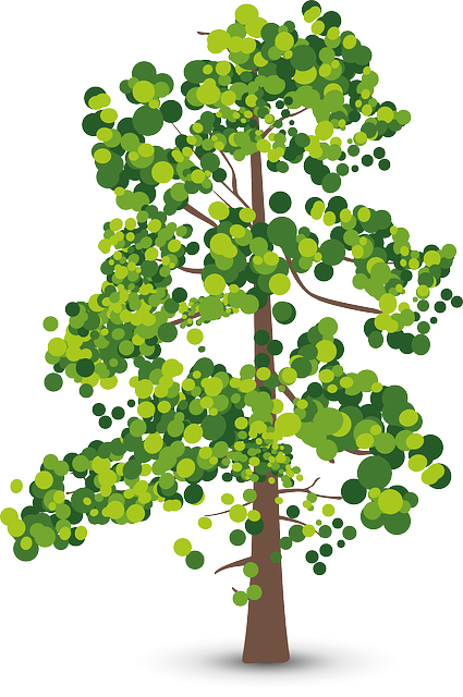 Proven & Trusted Eco-Friendly Local Movers San Francisco & Bay Area