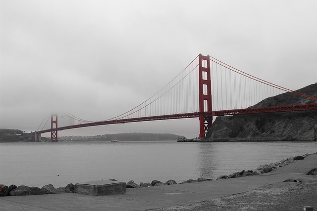 Proven San Francisco Experts for Superior Quick Relocation Services