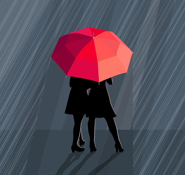 Trusted Moving Insurance for High-Value Items in San Francisco