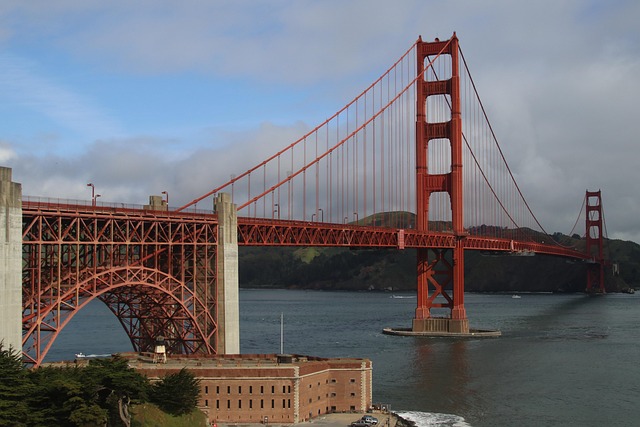 Trusted San Francisco Pet Relocation: Superior, Safe Moves with Proven Experts