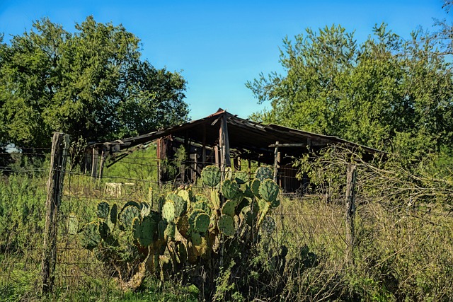 frisco-tx-640x480-75393083.jpeg