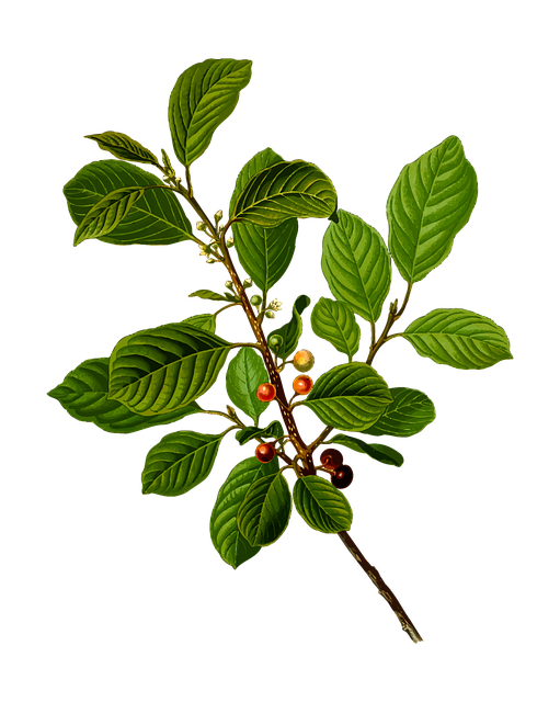 herbal-pain-relief-frisco-640x480-30998265.png
