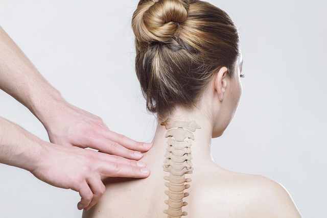 Trusted Chiropractic Adjustments: Superior Back Pain Relief and Improved Posture