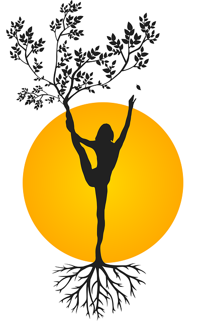 holistic-chiropractic-640x480-56449023.png
