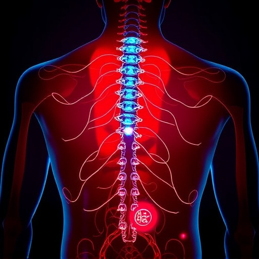 Trusted Chiropractic Care Offers Proven Non-Invasive Pain Relief in Frisco
