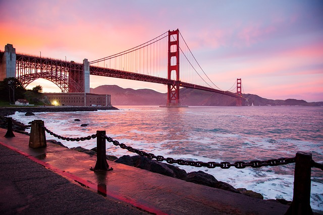Trusted Pet-Friendly Moving Services SF: Innovative Relocation Success
