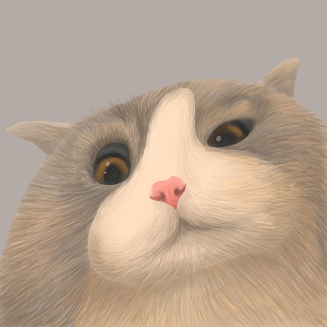 cat-sitters-640x480-33939176.jpeg