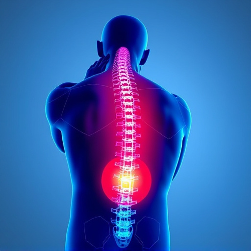 chiropractic-adjustments-for-chronic-pai-640x480-94958990.jpeg